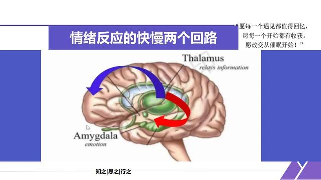 东莞怎么让人催眠，东莞怎么让人催眠可以控制他？