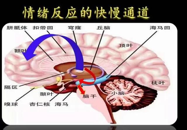 东莞怎么让人催眠，东莞怎么让人催眠可以控制他？