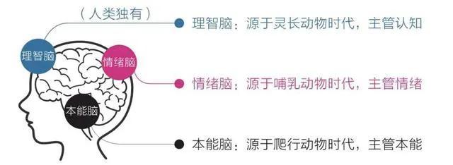 东莞怎么让人催眠，东莞怎么让人催眠可以控制他？